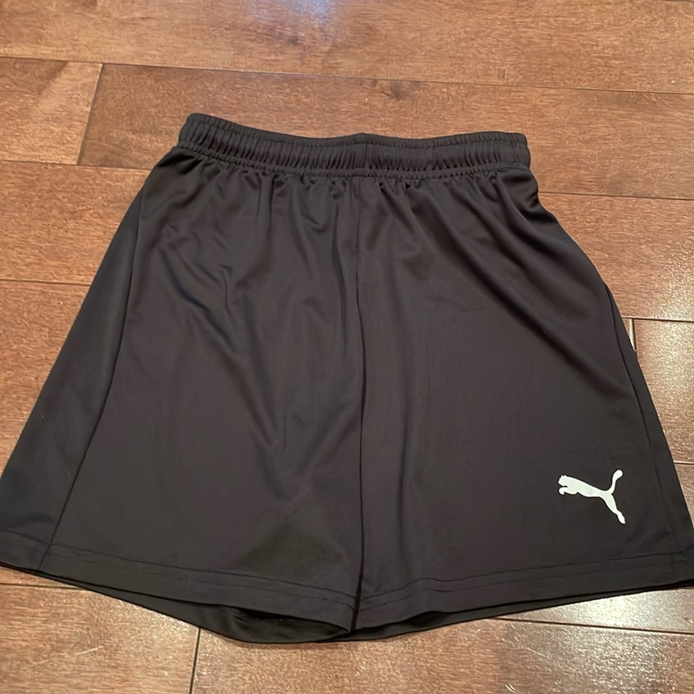 Puma Dry Fit Shorts
